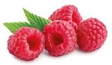 HIMBEEREN im Angebot bei REWE in Hürth HIMBEEREN Angebote bei REWE Hürth für 1,79 €