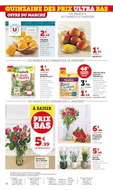 Jardinage Angebote im Prospekt "U Express" von U Express auf Seite 29