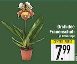 Orchidee Frauenschuh Angebote bei EDEKA Straubing für 7,99 €