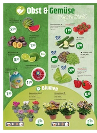 V-Markt Tomaten im Prospekt 