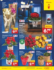 Aktueller Netto Marken-Discount Prospekt mit Blumen, "Aktuelle Angebote", Seite 5