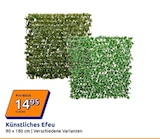 Action Gunzenhausen Prospekt mit  im Angebot für 14,95 €