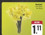 Aktuelles Narzissen Angebot bei E center in Nürnberg ab 1,11 €