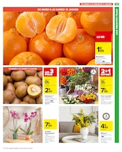 Orchidée Angebote im Prospekt "Carrefour market" von Carrefour Market auf Seite 25