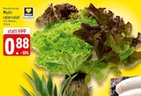 Multicolorsalat bei EDEKA im Prospekt "" für 0,88 €