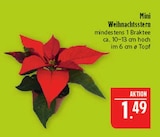 Mini Weihnachtsstern Angebote bei Marktkauf Görlitz für 1,49 €
