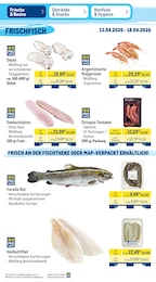 METRO Octopus im Prospekt 