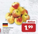 Tafeläpfel Elstar im aktuellen Prospekt bei famila Nordwest in Dötlingen