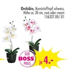 Aktuelles Orchidée Angebot bei SB Möbel Boss in Duisburg ab 4,00 €