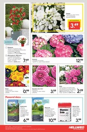 Blumenerde Angebot im aktuellen Hellweg Prospekt auf Seite 23