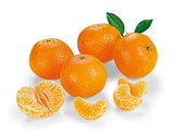 Clementinen im Angebot bei REWE in Braunschweig Clementinen Angebote von REWE Bio bei REWE Braunschweig für 3,33 €