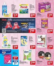 Persil im famila Nordost Prospekt in Celle Aktueller famila Nordost Prospekt mit Persil, "besser als gut!", Seite 17