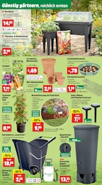 Drucksprüher Angebot im aktuellen Thomas Philipps Prospekt auf Seite 8