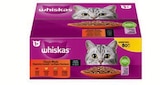 Aktuelle Katzenfutter Angebote bei Lidl in Bochum Aktuelles Auswahl Angebot bei Lidl in Bochum ab 19,95 €