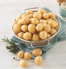 Pomme de terre grenaille primeur - U Express à Cholet Pomme de terre grenaille primeur en promo chez U Express Cholet à 1,99 €