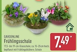 Frühlingsschale von Gardenline im aktuellen ALDI Nord Prospekt