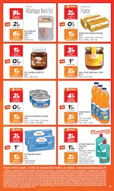 Promos Désinfectant dans le catalogue "Rendez-vous PRIX BAS !" de Netto à la page 9