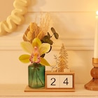 Orchidée 1 fleuron calendrier - CARREFOUR à 7,99 € dans le catalogue Carrefour