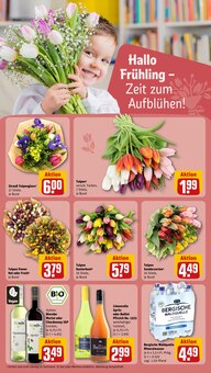 Blumen im aktuellen REWE Prospekt (Neuss) Blumen im REWE Prospekt "Dein Markt" mit 24 Seiten (Neuss)