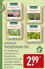 Teichpflanzen-Set im Angebot bei ALDI Nord in Paderborn Teichpflanzen-Set Angebote von GARDENLINE bei ALDI Nord Paderborn für 2,99 €