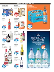 Gin im V-Markt Prospekt "V-Markt einfach besser einkaufen" mit 21 Seiten (Regensburg)