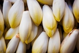 Endives jeunes pousses en promo chez Carrefour Boulogne-Billancourt à 2,19 €