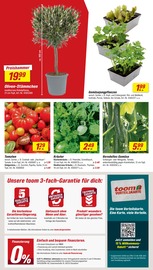Aktueller toom Baumarkt Prospekt mit Tomaten, "Respekt, wer's selber macht.", Seite 2