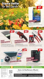 Ähnliche Rollrasen Angebote im Prospekt "Herbstzauber im Garten." von Raiffeisenmarkt in Münster Ähnliche Angebote wie Rollrasen im Prospekt "Herbstzauber im Garten." auf Seite 8 von Raiffeisenmarkt in Münster