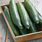 Promo Concombre à 1,65 € dans le catalogue Intermarché Super à Lambersart