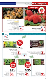Terreau Angebote im Prospekt "U Express" von U Express auf Seite 3