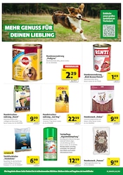 Aktueller Hagebaumarkt Prospekt mit Hundefutter, "GENIESSE DIE KRAFT DER SONNE", Seite 16