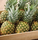 Ananas en promo chez Intermarché Hyper Ananas dans le catalogue Intermarché Hyper