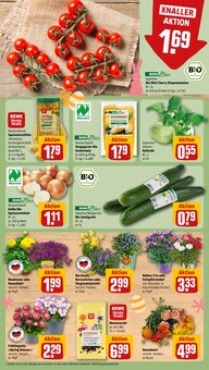 Mais im REWE Prospekt "Dein Markt" mit 28 Seiten (Frankfurt (Main))