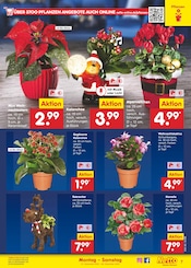Aktueller Netto Marken-Discount Prospekt mit Weihnachtsstern, "Aktuelle Angebote", Seite 7