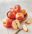 Pomme à U Express dans Wintzenheim