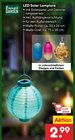 LED Solar Lampions im Angebot bei Netto Marken-Discount in Magdeburg LED Solar Lampions Angebote von Living & Garden bei Netto Marken-Discount Magdeburg für 2,99 €