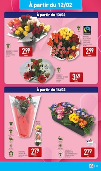 Promo Primevère dans le catalogue Aldi du moment à la page 38