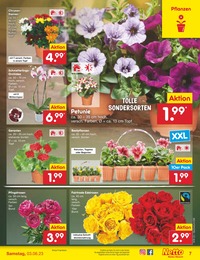 Pflanzen Angebot im aktuellen Netto Marken-Discount Prospekt auf Seite 7