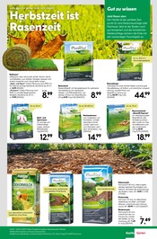 Rasendünger im BayWa Bau- und Gartenmärkte Prospekt in Kirchheim Aktueller BayWa Bau- und Gartenmärkte Prospekt mit Rasendünger, "Ihr Projekt im Herbst!", Seite 7