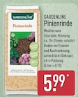Pinienrinde von Gardenline im aktuellen ALDI Nord Prospekt
