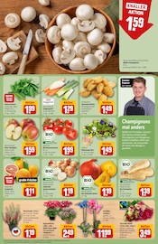 Ähnliche Angebote wie Zitronenbaum im Prospekt "Dein Markt" auf Seite 11 von REWE in Willich