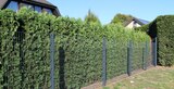 Doppelstabmatte 8/6/8 schwer Zaunhöhe 1.230 mm Angebote bei Raiffeisen Waren GmbH Eisenach für 31,90 €