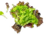 Dtsch. Multicolor-Salat bei Kaufland im Geldern Prospekt für 1,29 €