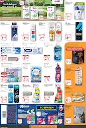 Aktueller GLOBUS Prospekt mit Katzenstreu, "Aktuelle Angebote", Seite 21