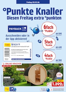 Hähnchenbrust im Netto Marken-Discount Prospekt "Aktuelle Angebote" mit 72 Seiten (München)