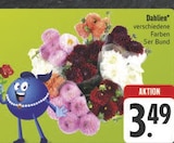 Aktuelles Dahlien Angebot bei E center in Fürth ab 3,49 €
