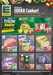 EDEKA Prospekt für Oberkotzau mit 28} Seiten EDEKA Prospekt für Oberkotzau: "Wir lieben Lebensmittel!", 28 Seiten, 08.12.2025 - 13.12.2025