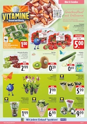 Aktueller EDEKA Prospekt mit Hortensie, "Wir lieben Lebensmittel!", Seite 15