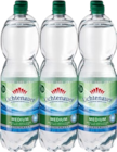 Medium Angebote von Lichtenauer bei Kaufland Bautzen für 0,69 €
