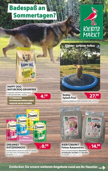 Aktueller Kiebitzmarkt Prospekt "Badespaß an Sommertagen?" Seite 1 von 4 Seiten für Rhede